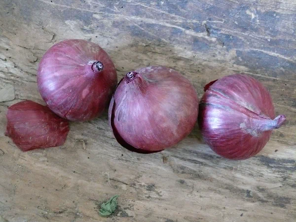 Impression aus dem Naturladen